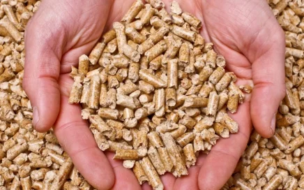 czym jest pellet
