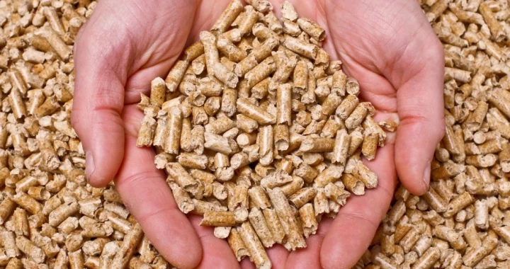 czym jest pellet