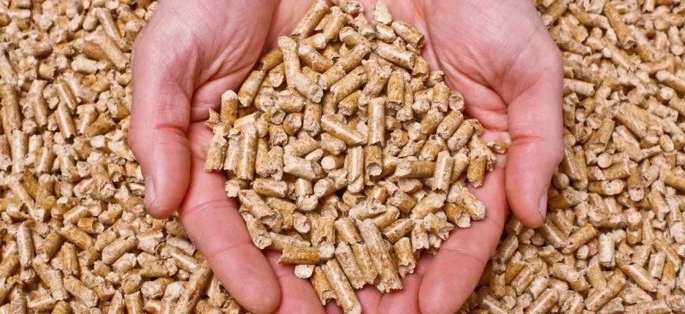 czym jest pellet