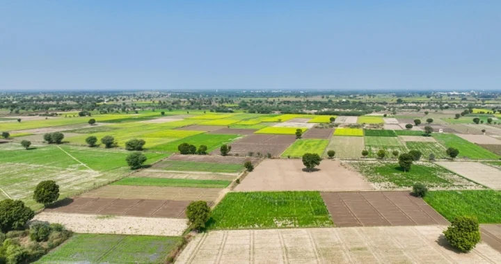 warunki zabudowy przed zakupem działki, co sprawdzić, żeby nie przepłacić