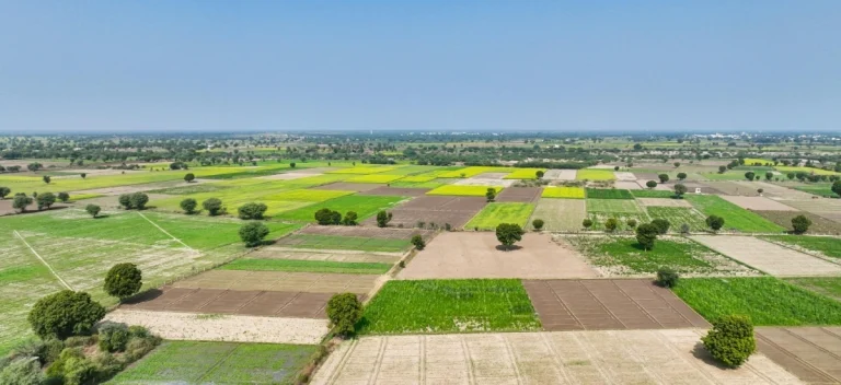 warunki zabudowy przed zakupem działki, co sprawdzić, żeby nie przepłacić
